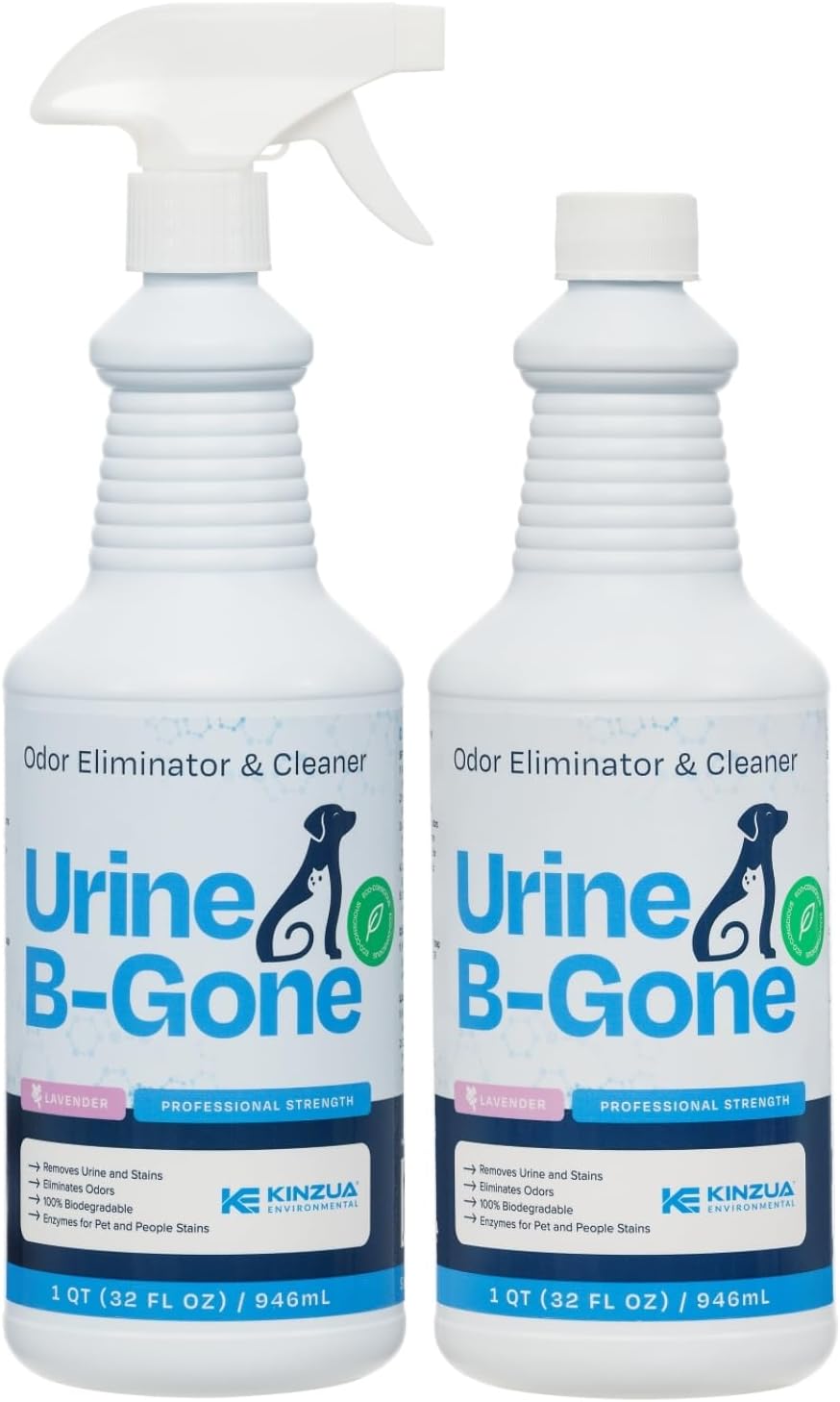 KINZUA ENVIRONMENTAL Urine B-Gone, Professional Enzyme Odor Eliminator & Pet Stain Remover, Human, Cat & Dog Urine Cleaner, Effective on Laundry, Carpets & More, Lavender Scent, 32oz, Pack of Two