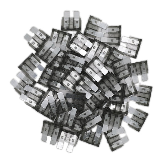 (80Pcs) 2 Amp Standard Fuse, 2A Car Blade Fuses for Car/RV/Truck/SUV/Motorcycle/Boat
