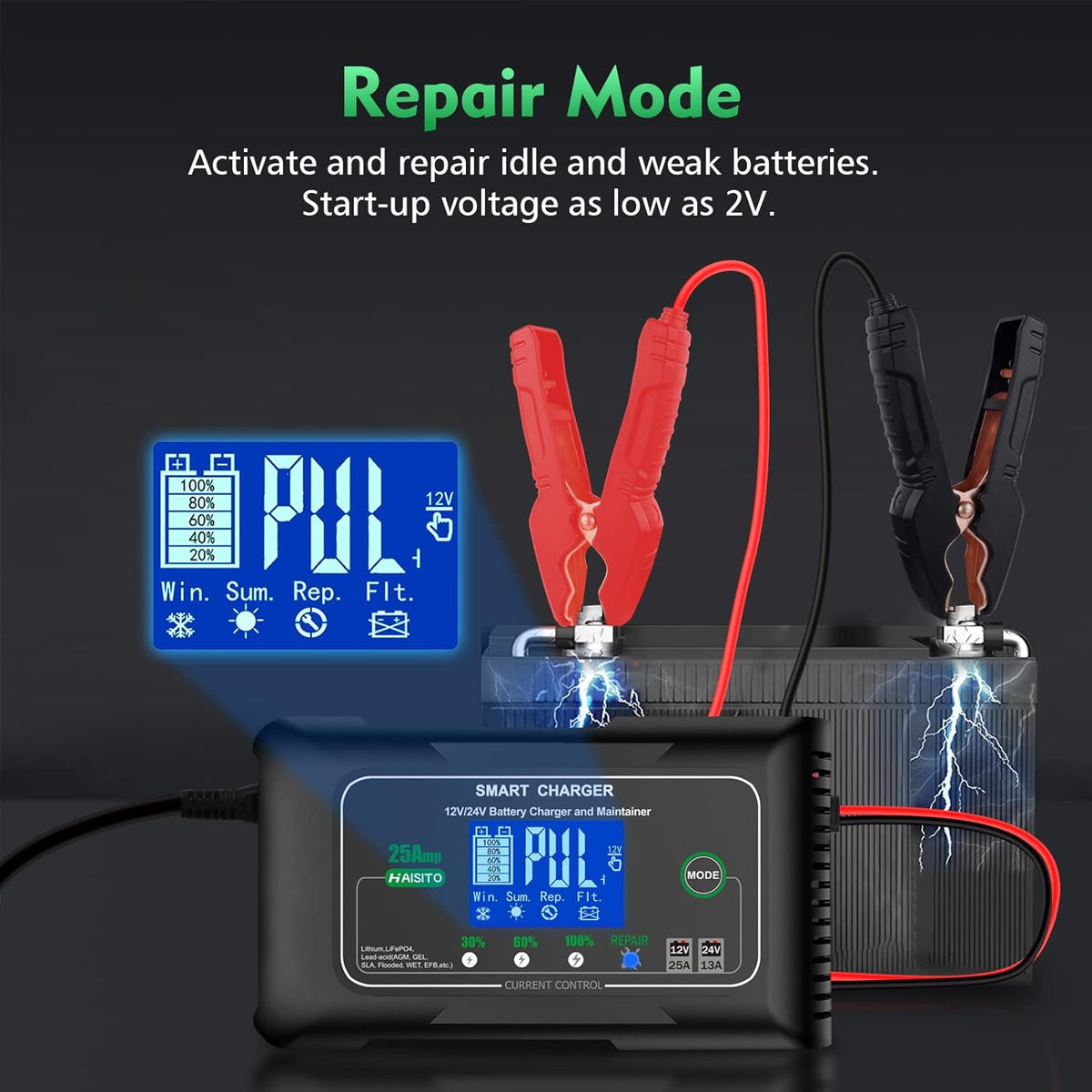 25 Amp Lithium Battery Charger, 12V and 24V Lifepo4,Lead-Acid(AGM/Gel/SLA..) Battery Charger,Battery Maintainer, Trickle Charger, and Battery Desulfator for Car,Boat,Motorcycle, Lawn Mower.