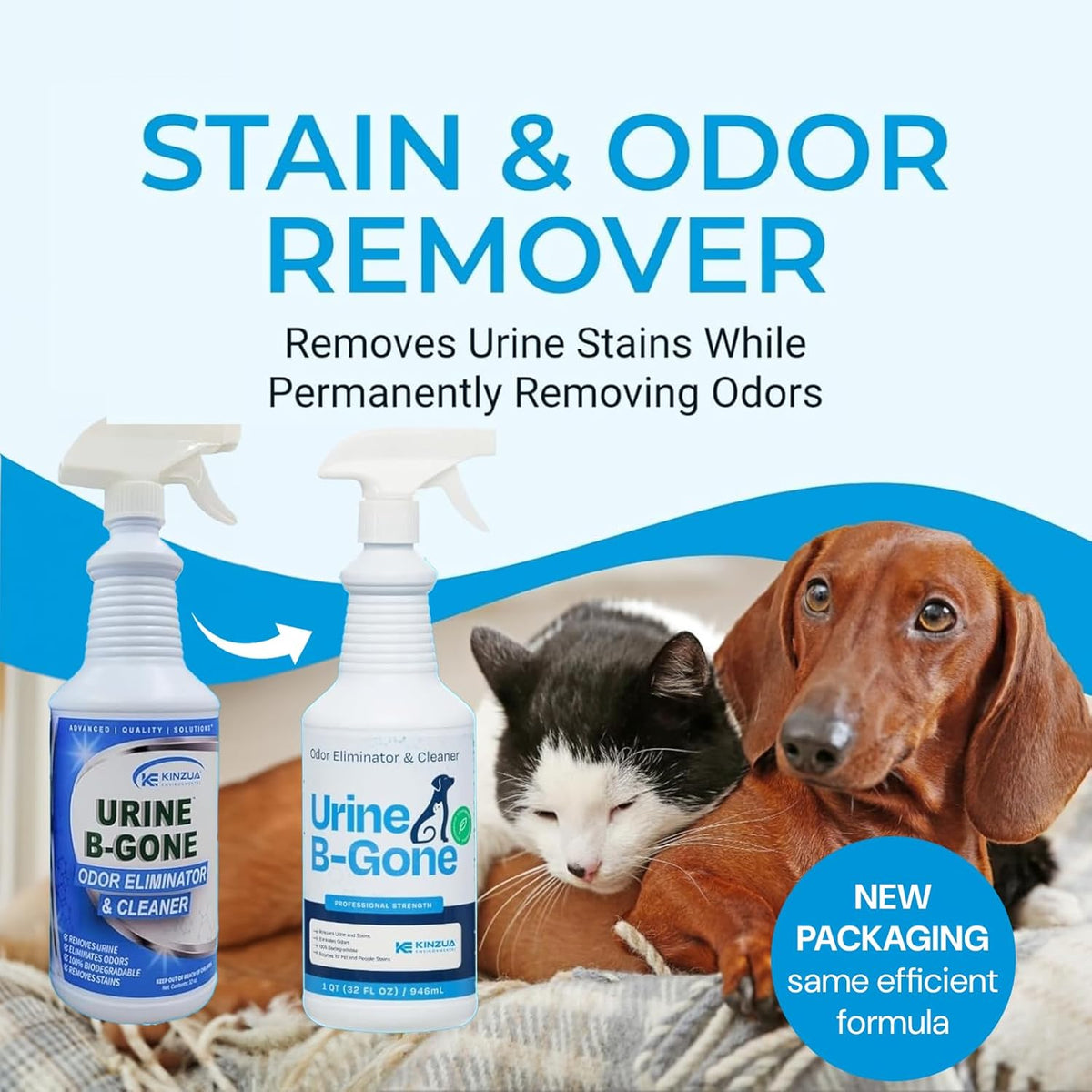 KINZUA ENVIRONMENTAL Urine B-Gone, Professional Enzyme Odor Eliminator & Pet Stain Remover, Human, Cat & Dog Urine Cleaner, Effective on Laundry, Carpets & More, Original Scent, 32oz, Pack of Two