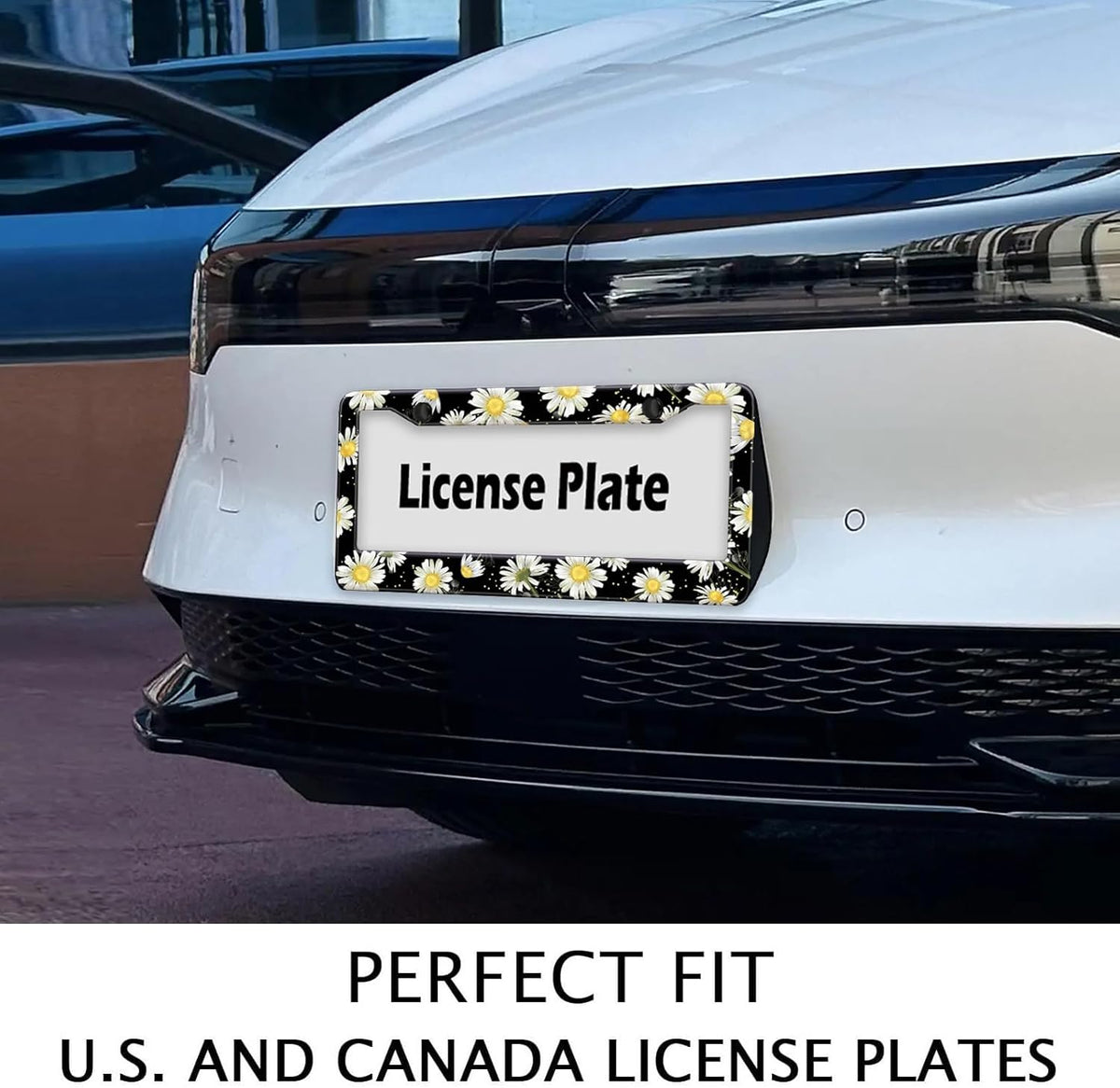 Daisy Flowers Car License Plate Frame, Flowers Print Tags Frames Holder Covers, Metal Aluminum Rustproof Car Accessories US Canada Standard with Screws for Women Men 6x12 Inch 2 Holes