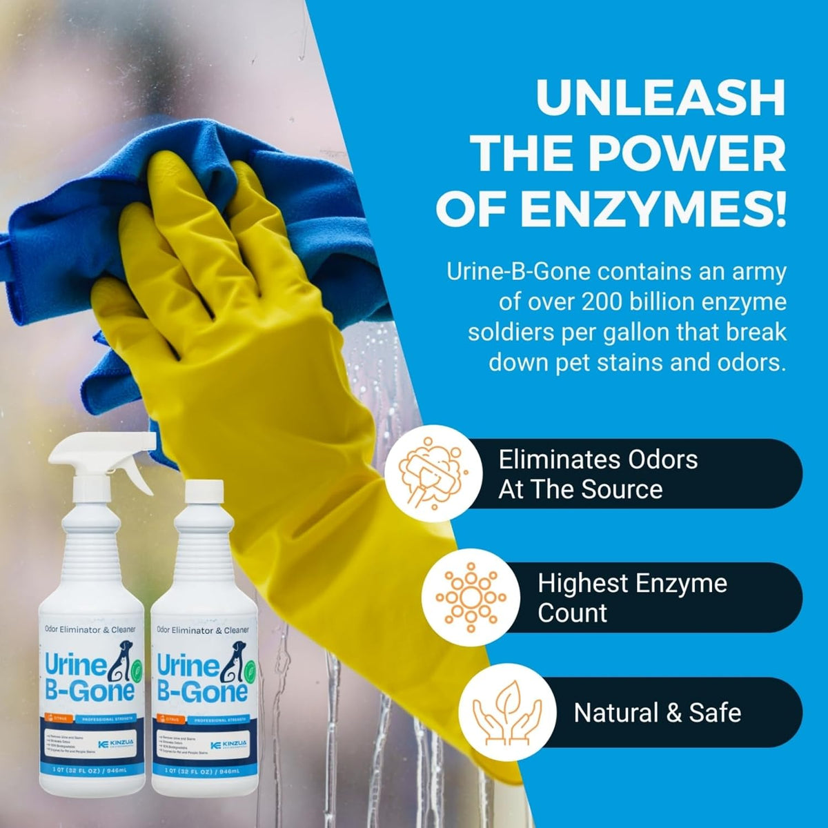 KINZUA ENVIRONMENTAL Urine B-Gone, Professional Enzyme Odor Eliminator & Pet Stain Remover, Human, Cat & Dog Urine Cleaner, Effective on Laundry, Carpets & More, Citrus Scent, 32oz, Pack of Two