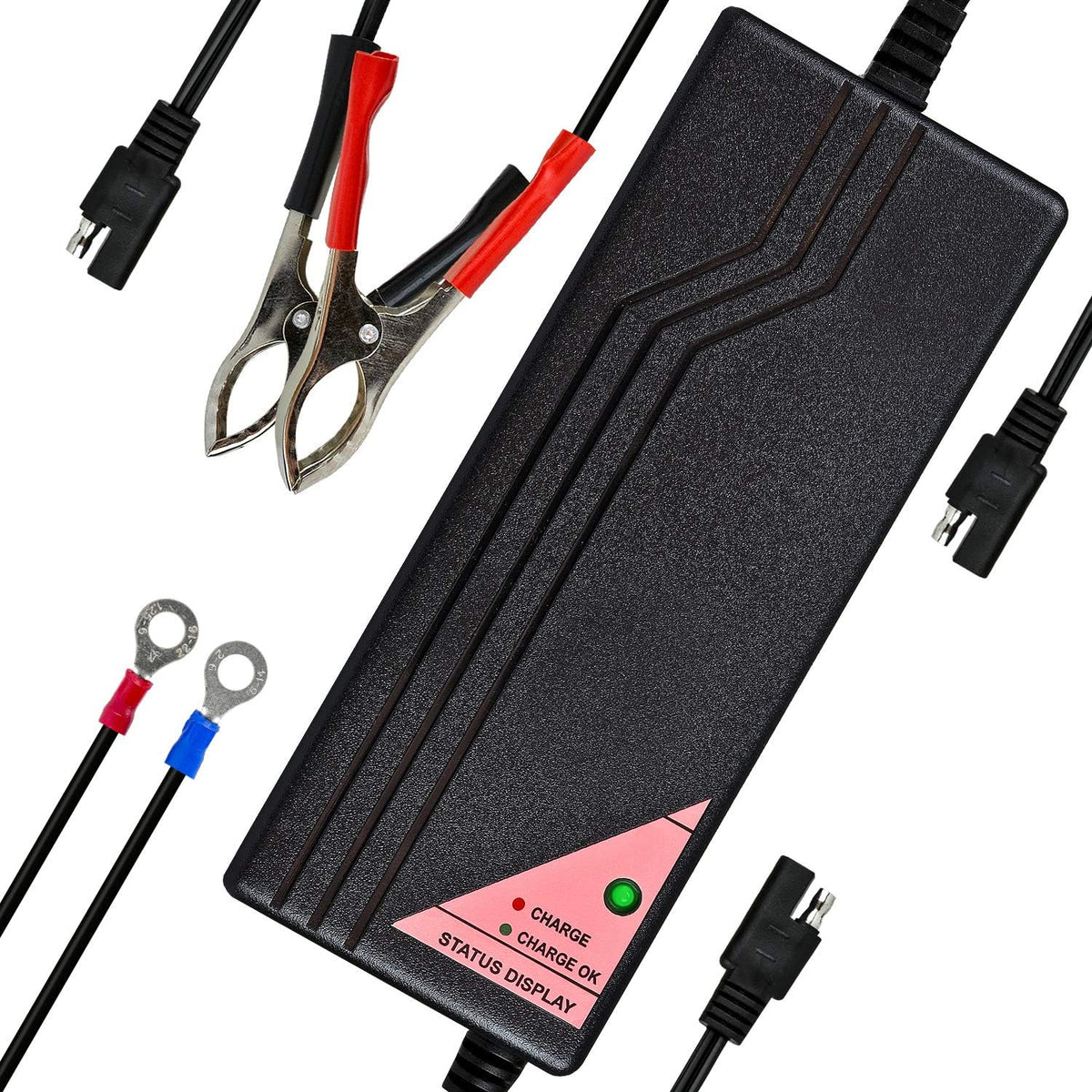 ExpertPower 12.8V 5A Smart Charger for Lithium LiFePO4 Deep Cycle Rechargeable Batteries