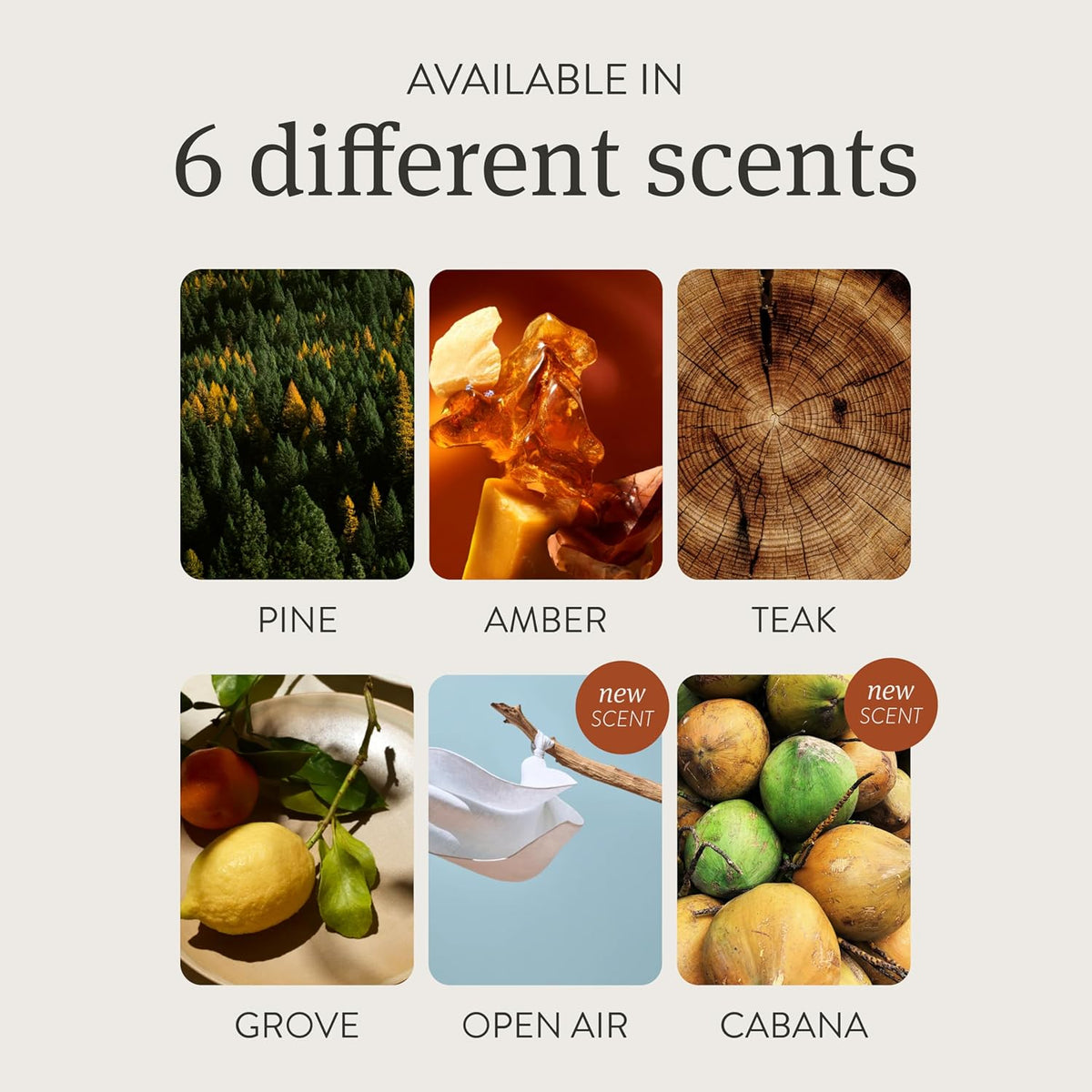 Drift Car Air Freshener - Stone Air Freshener - Car Odor Eliminator - Amber Scent Refill - Pack of 3 - NO CLIP INCLUDED