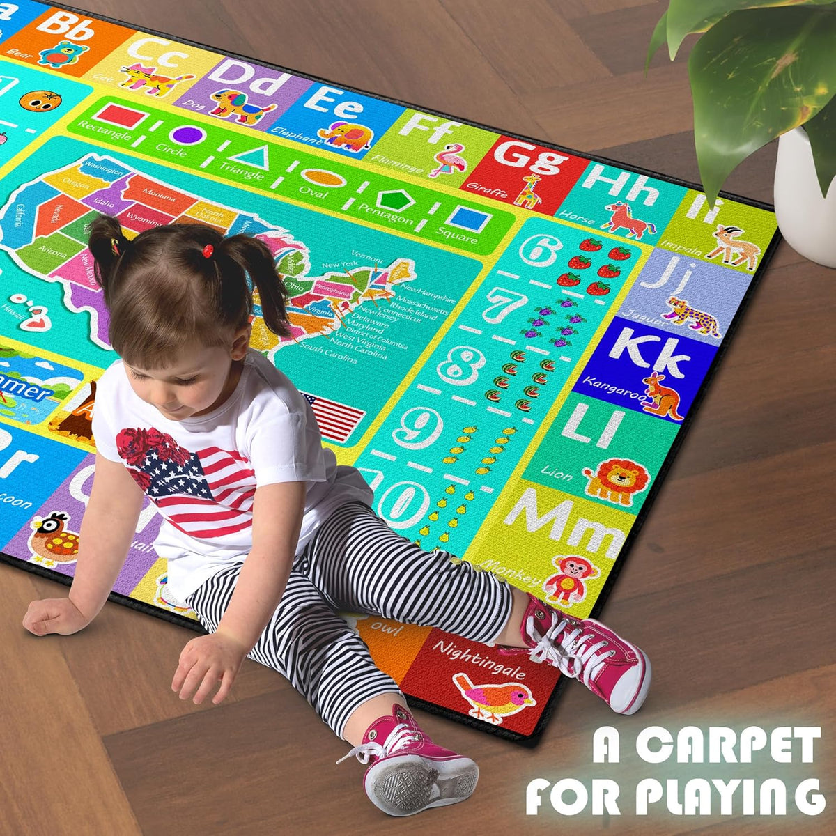 ABC Rug for Kids Playroom, 59"x39" Washable Classroom Area Rugs, Educational Learning Mat with Alphabet Numbers Animals Seasons Shapes for Classroom Preschool Playroom