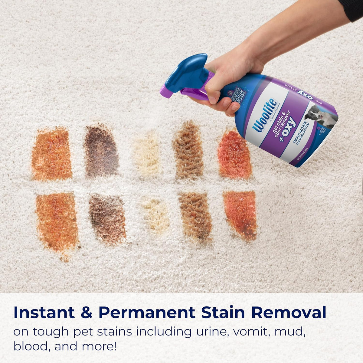 Bissell Woolite® Advantage Pet Stain & Odor Remover + Oxy, 2-Pack, 3326